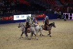 Quadrille - 00186